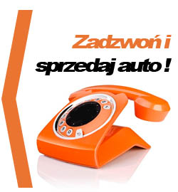 Skup samochodów online na całym Śląsku - przyjedziemy oraz kupimy Twoje stare auto w dniu zgłoszenia sprzedaży. Online AUTOSKUP za gotówkę. Komis samochodowy - zlomowisko - kasacja pojazdow - skup samochodow